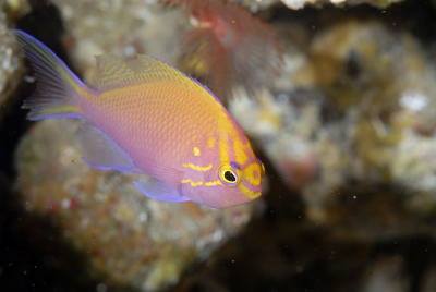 �����@������